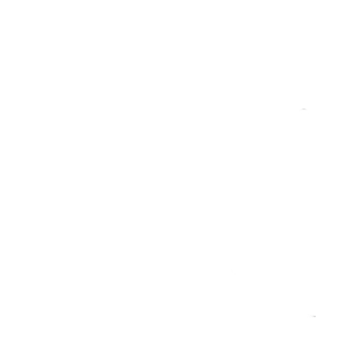 Aidan Ko